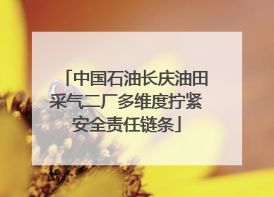中国石油长庆油田采气二厂多维度拧紧安全责任链条