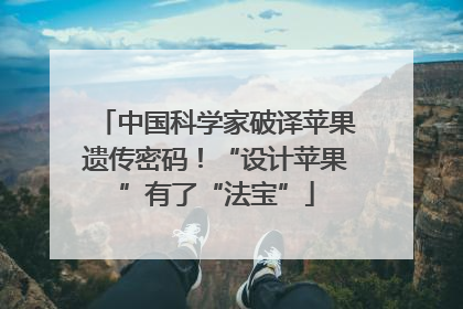中国科学家破译苹果遗传密码！“设计苹果”有了“法宝”