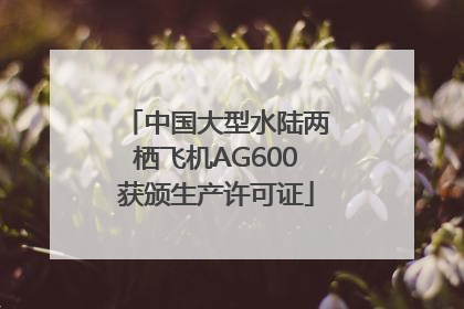 中国大型水陆两栖飞机AG600获颁生产许可证