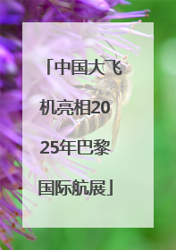 中国大飞机亮相2025年巴黎国际航展
