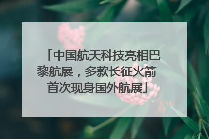 中国航天科技亮相巴黎航展，多款长征火箭首次现身国外航展
