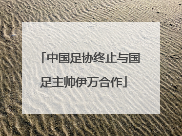 中国足协终止与国足主帅伊万合作