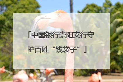中国银行崇阳支行守护百姓“钱袋子”