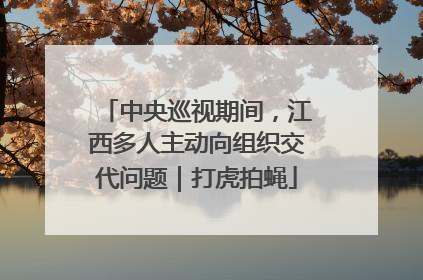 中央巡视期间，江西多人主动向组织交代问题｜打虎拍蝇