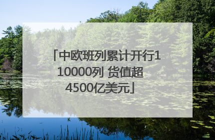 中欧班列累计开行110000列 货值超4500亿美元