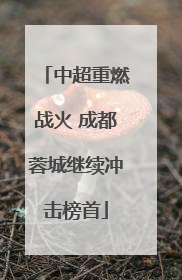 中超重燃战火 成都蓉城继续冲击榜首