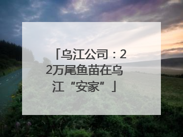 乌江公司：22万尾鱼苗在乌江“安家”