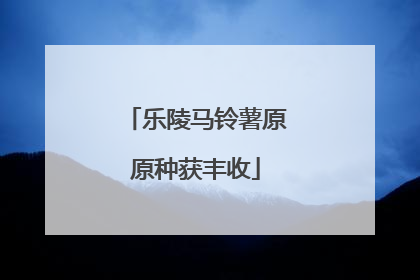 乐陵马铃薯原原种获丰收