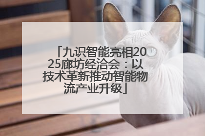 九识智能亮相2025廊坊经洽会：以技术革新推动智能物流产业升级
