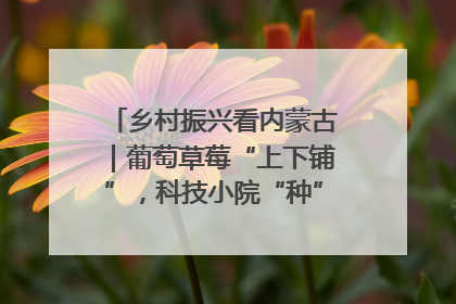 乡村振兴看内蒙古｜葡萄草莓“上下铺”，科技小院“种”出三倍效益