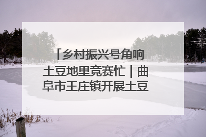 乡村振兴号角响 土豆地里竞赛忙｜曲阜市王庄镇开展土豆收获劳动竞赛