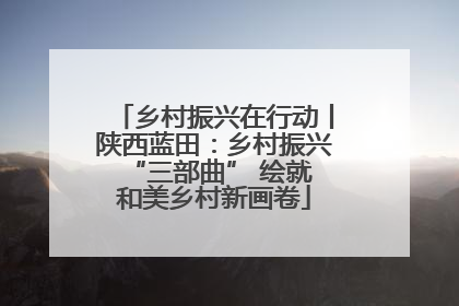 乡村振兴在行动丨陕西蓝田：乡村振兴 “三部曲” 绘就和美乡村新画卷