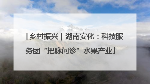 乡村振兴｜湖南安化：科技服务团“把脉问诊”水果产业