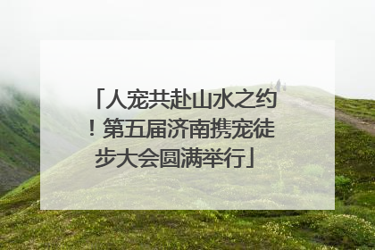 人宠共赴山水之约！第五届济南携宠徒步大会圆满举行