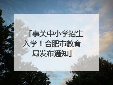 事关中小学招生入学！合肥市教育局发布通知