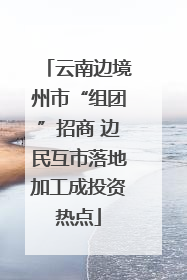 云南边境州市“组团”招商 边民互市落地加工成投资热点