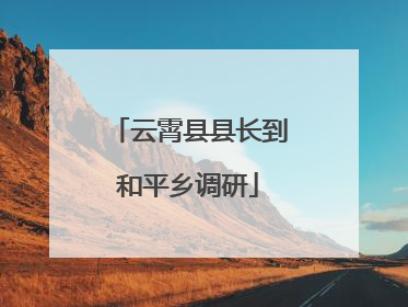 云霄县县长到和平乡调研