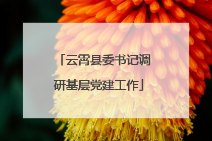 云霄县委书记调研基层党建工作