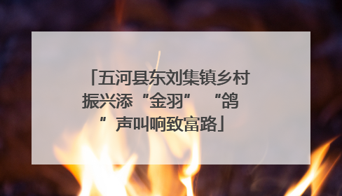 五河县东刘集镇乡村振兴添“金羽” “鸽”声叫响致富路