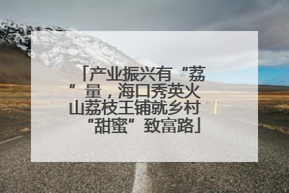 产业振兴有“荔”量，海口秀英火山荔枝王铺就乡村“甜蜜”致富路