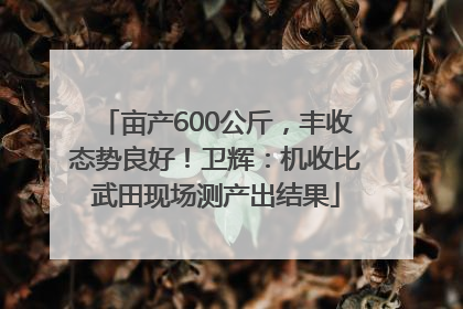 亩产600公斤，丰收态势良好！卫辉：机收比武田现场测产出结果