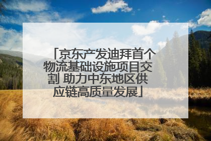 京东产发迪拜首个物流基础设施项目交割 助力中东地区供应链高质量发展