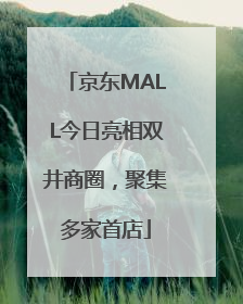 京东MALL今日亮相双井商圈，聚集多家首店