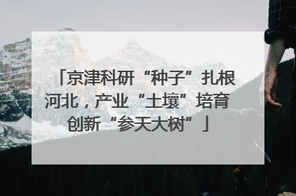 京津科研“种子”扎根河北，产业“土壤”培育创新“参天大树”