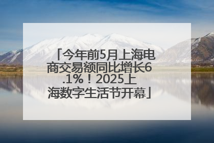 今年前5月上海电商交易额同比增长6.1%！2025上海数字生活节开幕