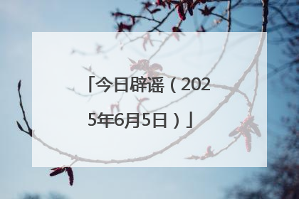 今日辟谣（2025年6月5日）