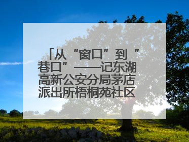 从“窗口”到“巷口”——记东湖高新公安分局茅店派出所梧桐苑社区民警樊艳玲