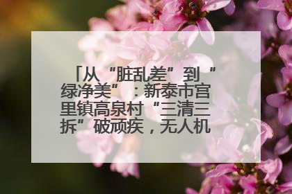 从“脏乱差”到“绿净美”：新泰市宫里镇高泉村“三清三拆”破顽疾，无人机“天眼”护新颜