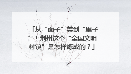从“面子”美到“里子”！荆州这个“全国文明村镇”是怎样炼成的？