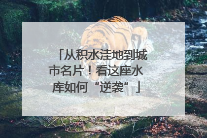 从积水洼地到城市名片！看这座水库如何“逆袭”
