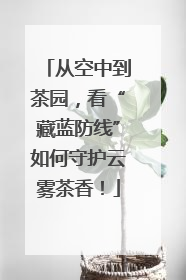 从空中到茶园，看“藏蓝防线”如何守护云雾茶香！