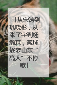 从宋涛到巩晓彬，从张子宇到杨瀚森，篮球逐梦山东“高人”不停歇