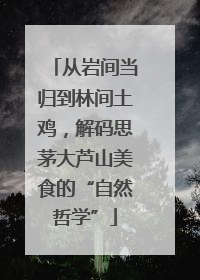 从岩间当归到林间土鸡，解码思茅大芦山美食的“自然哲学”