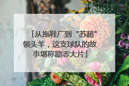 从拖鞋厂到“苏超”领头羊，这支球队的故事堪称励志大片