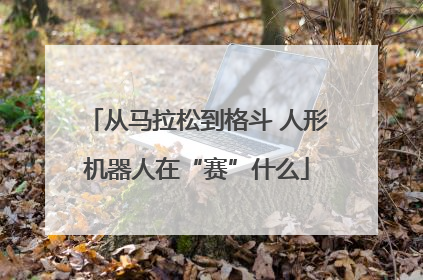 从马拉松到格斗 人形机器人在“赛”什么