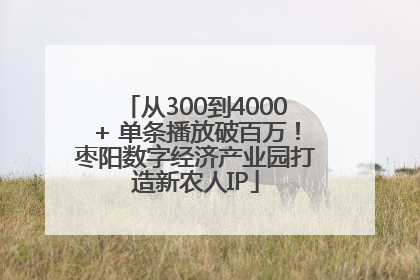 从300到4000+ 单条播放破百万！枣阳数字经济产业园打造新农人IP