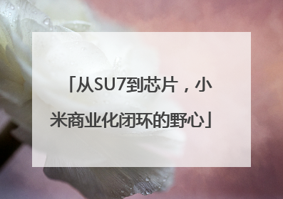 从SU7到芯片，小米商业化闭环的野心