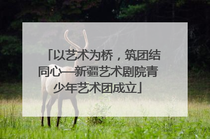 以艺术为桥，筑团结同心—新疆艺术剧院青少年艺术团成立