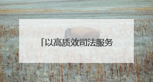 以高质效司法服务高水平对外开放