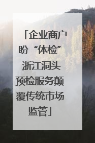 企业商户盼“体检” 浙江洞头预检服务颠覆传统市场监管