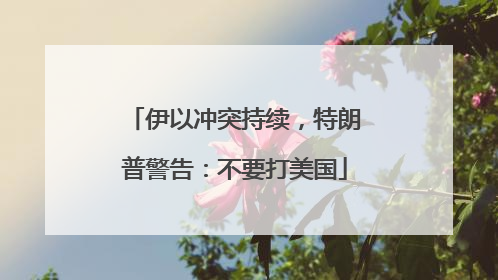 伊以冲突持续，特朗普警告：不要打美国