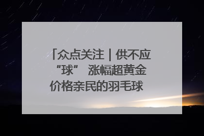 众点关注｜供不应“球” 涨幅超黄金 价格亲民的羽毛球为何身价飞涨？