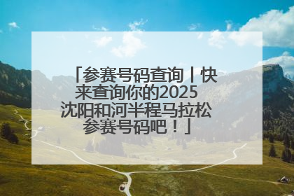 参赛号码查询丨快来查询你的2025沈阳和河半程马拉松参赛号码吧！