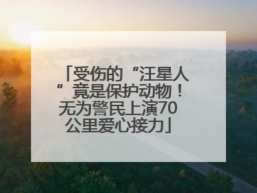 受伤的“汪星人”竟是保护动物！无为警民上演70公里爱心接力