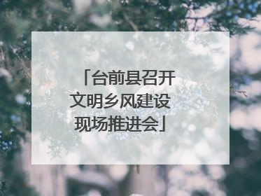 台前县召开文明乡风建设现场推进会