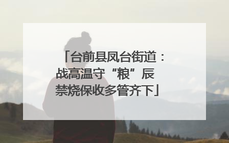 台前县凤台街道：战高温守“粮”辰 禁烧保收多管齐下